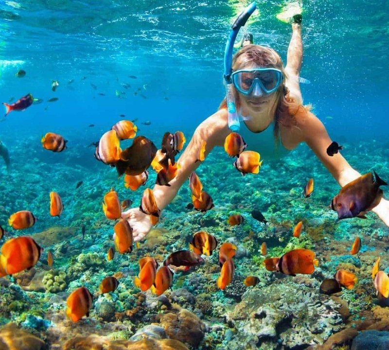 Combo lặn ngắm san hô Sơn Trà 4 trong 1, moto nước, phao chuối, súp