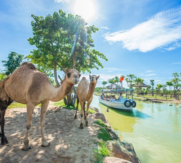 Tour Thám Hiểm Rừng Xanh tại VinWonders Nam Hội An