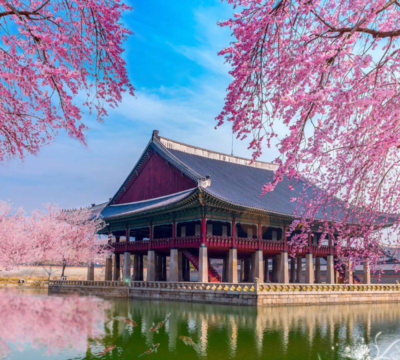 Khám phá xứ sở kim chi Hàn Quốc:  Seoul – Nami – Everland – Starfield